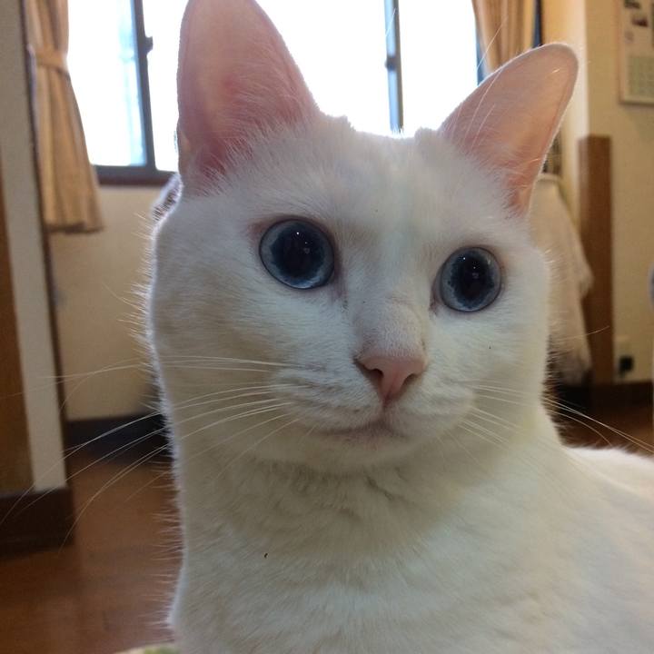 6c0f3175 f39b 44c4 904b 80bcfd276852