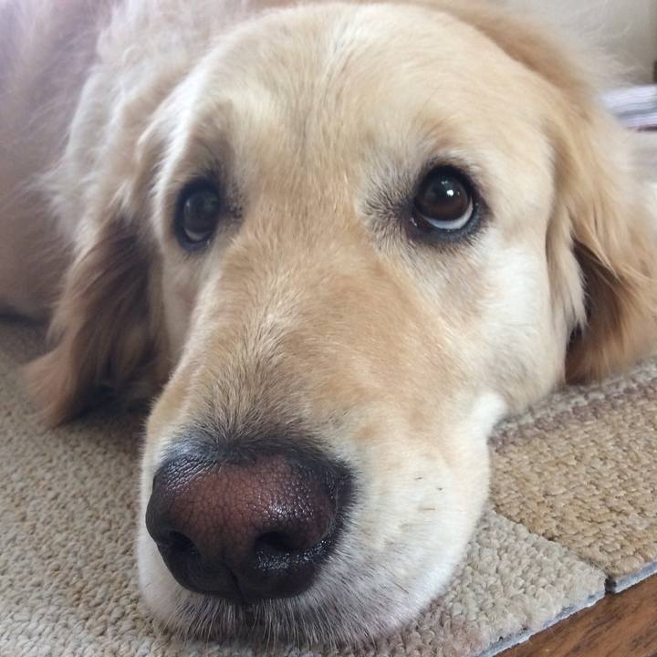 6c0f8d99 8213 43b5 aafd b4ad708ab8cd