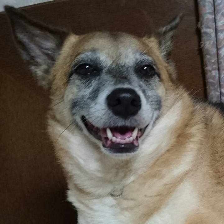 6c10254e 0417 4ebc 9e8c e2fe1d31b92e