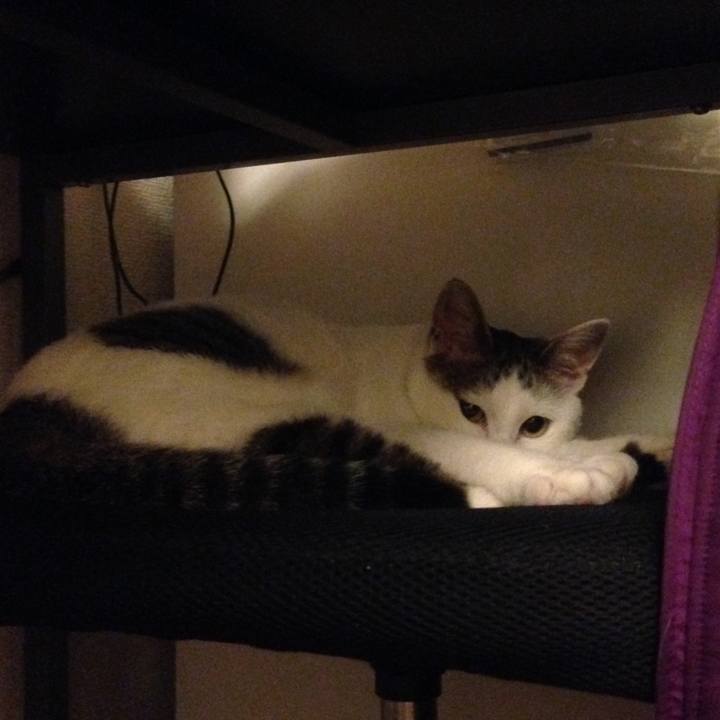 6c105f16 df4c 4210 bda2 2bb438629553