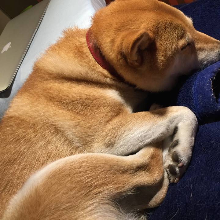 6c10c67f c1e4 4fb5 9054 4a802f6c7241