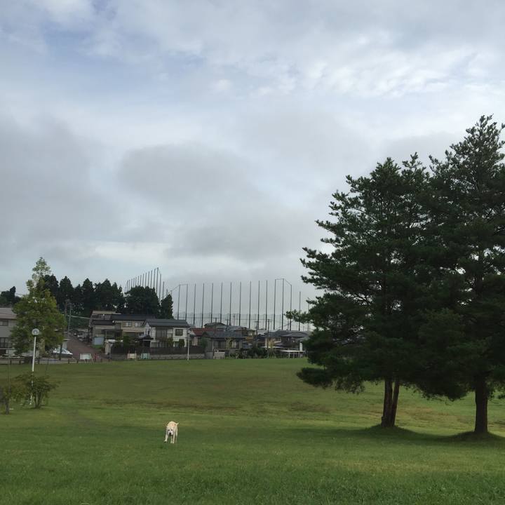 6c111959 c3cf 4aa5 b4f0 1c192f4aed01