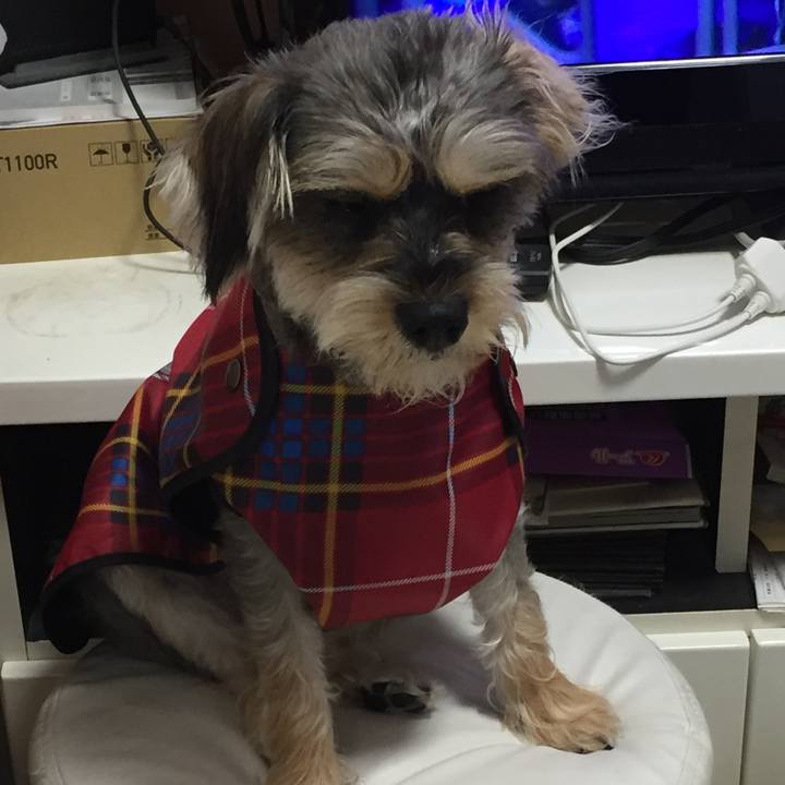 6c140ba9 55bd 42e6 82ba bacbf6d1a31d