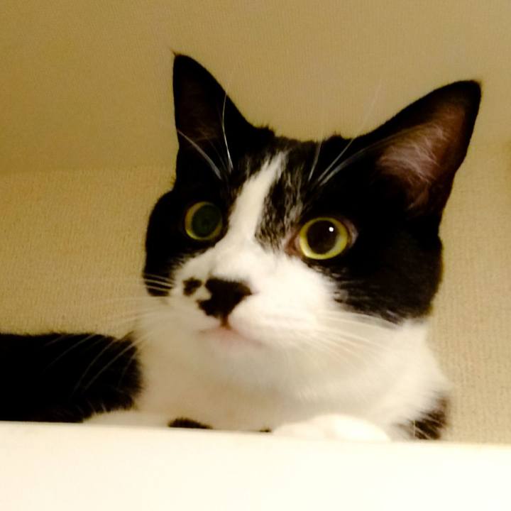 6c14688f 5bc5 4382 a5c6 4623b621abfc