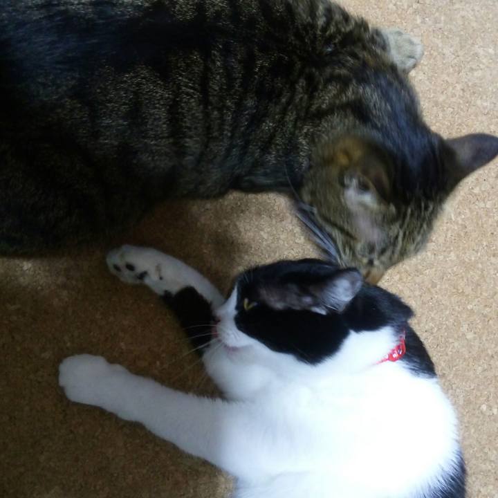 6c14a79c 6644 451f 8783 ec7410b9d7ec