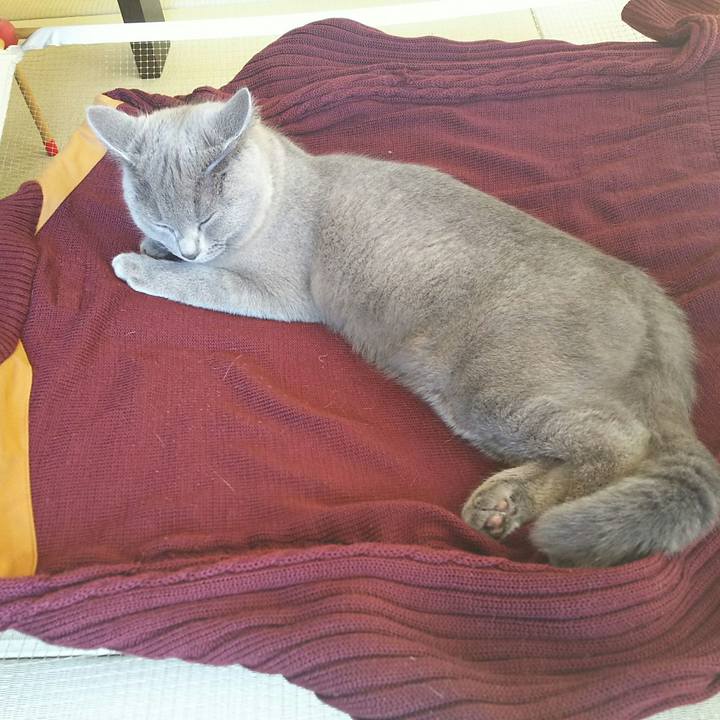 6c151549 bd5d 4791 8b7b 8afbc5a7e177