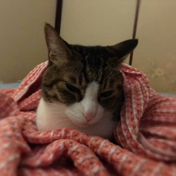 6c159553 7d50 46e7 aa6f d3af28c721c3