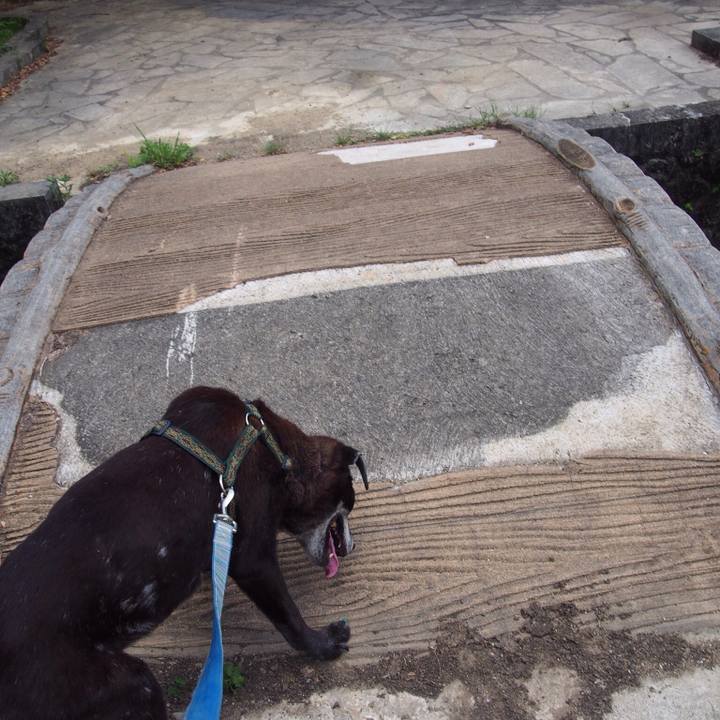 6c15bca3 842f 42d3 aced 4bbaaff02885