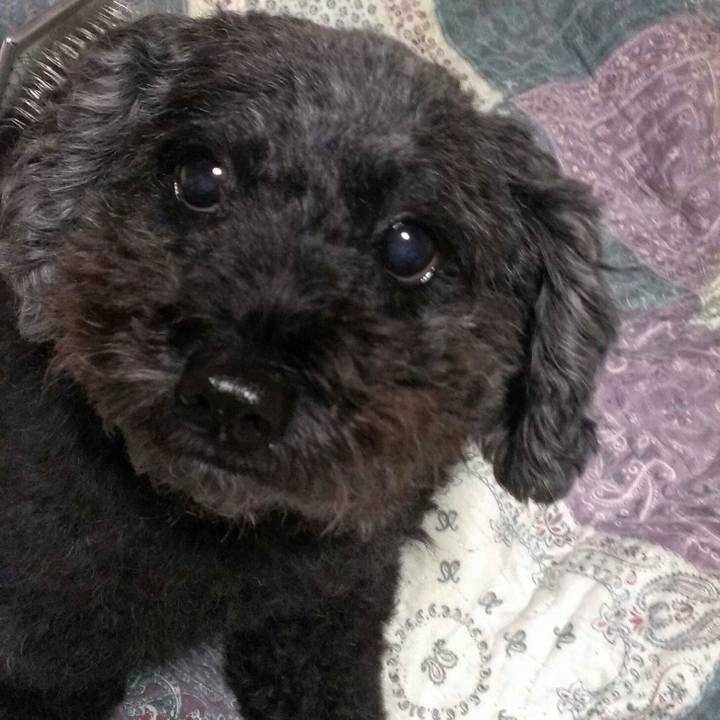 6c16352b e27e 4ace 9b2f 28478a348d23