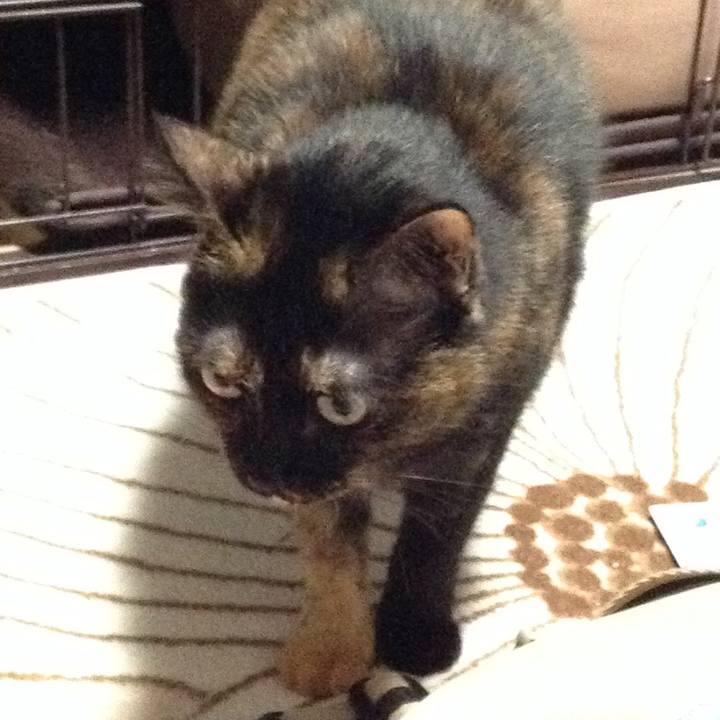 6c1668b6 94a8 4187 aec7 f09079c94ac5