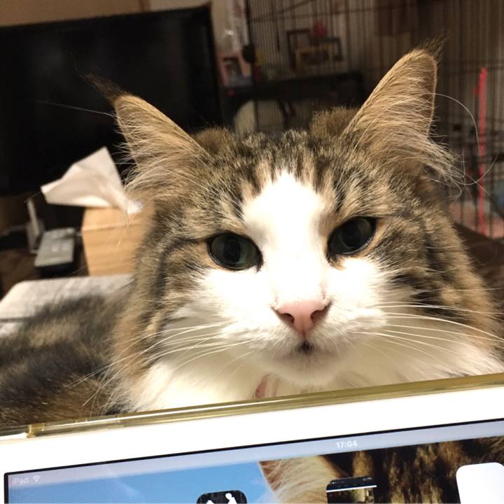 6c166e05 dded 4a62 88ad 1920273ecff3