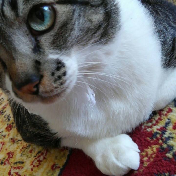 6c16f1b3 0053 4063 b647 c3f777178299