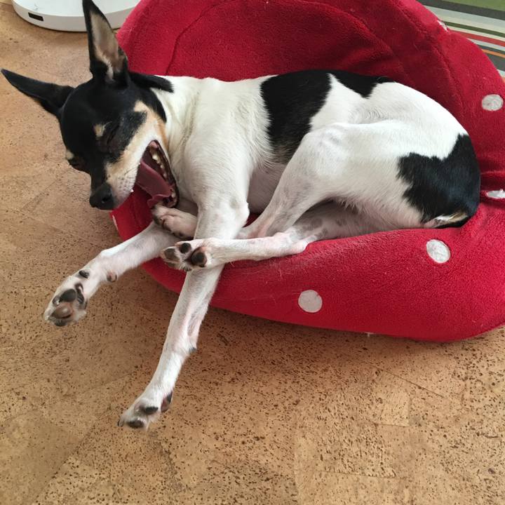 6c176ed9 da00 4141 901a 14229a9c9278