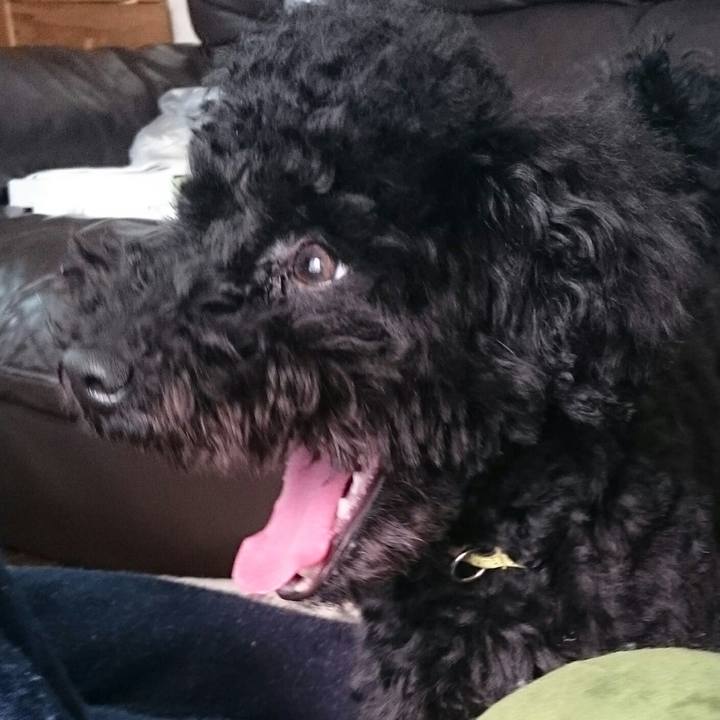 6c18ec83 dda1 40d2 816c 47c3b11d971c