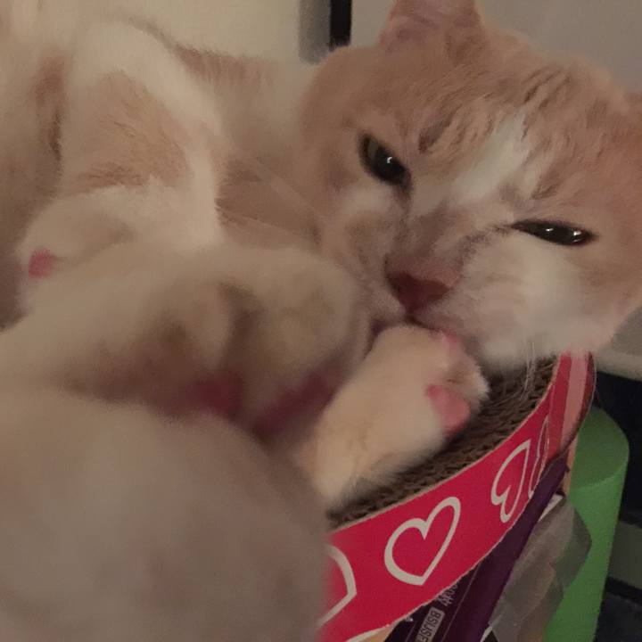 6c19cdb4 6612 4674 89b4 5bac5fac3525