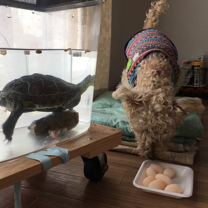 6c19e350 bb70 407a 9bc9 175178d74397