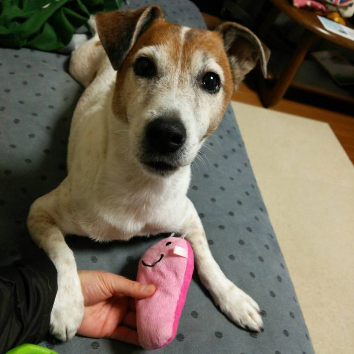 6c1ab4f0 4ea0 4154 8efa 6ab6ccaa9883