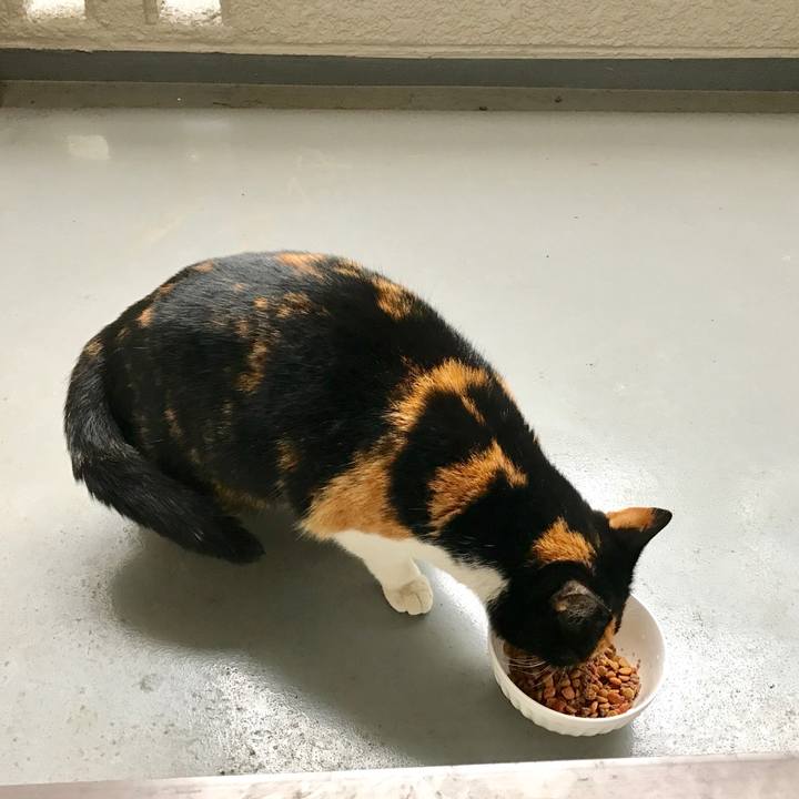 6c1adad2 6f31 4272 adb8 aa54210380e3