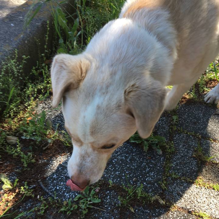 6c1b7521 feca 4171 a82e 4d90bc66033f