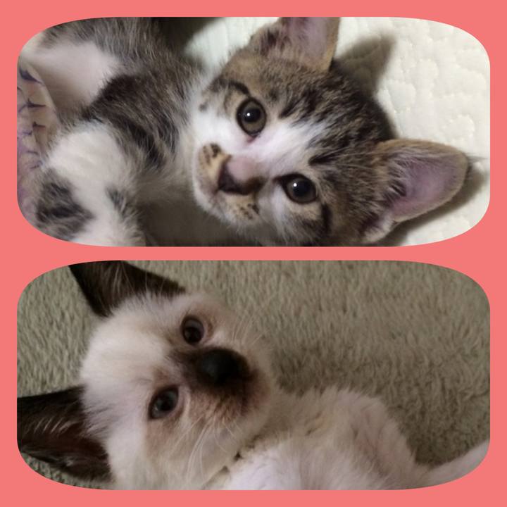 6c1cdb79 35e1 457f 8aaf 9589d3876d89