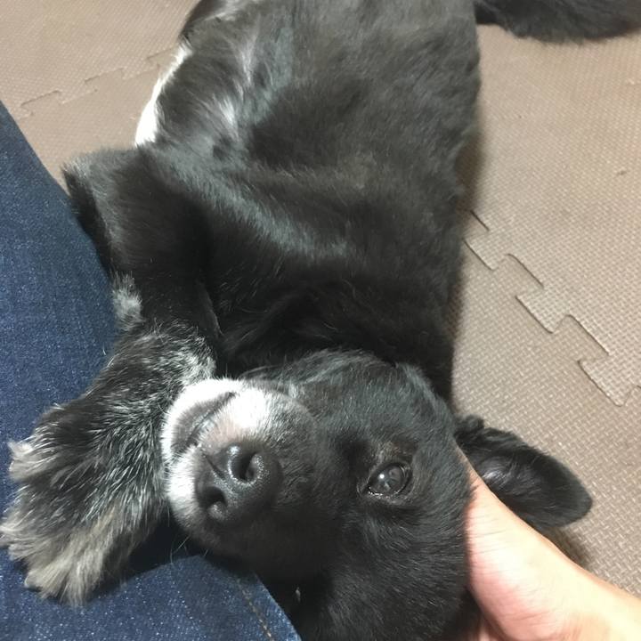 6c1d5594 7e8f 4693 852b b4c4094b755e