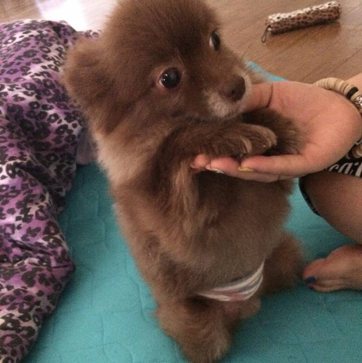 6c1d5ccd e31b 4c92 8f8b 539ae393b982