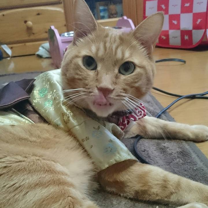 6c1d7999 070b 4be4 a003 8ba64807619a