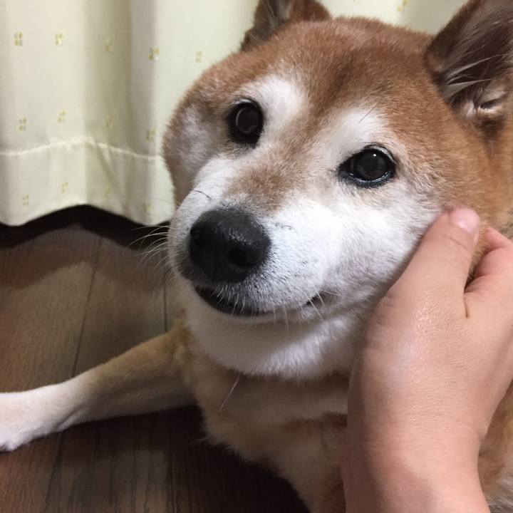 6c1d8c13 8efb 449b 9aa5 ebd28805548b