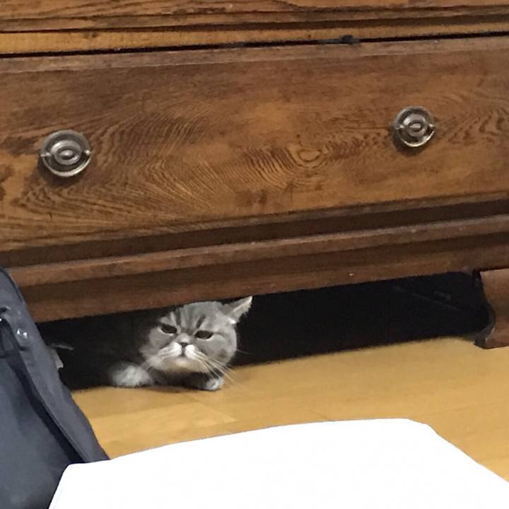 6c1ddc3c 5923 46a1 a4ef 05c577592a36