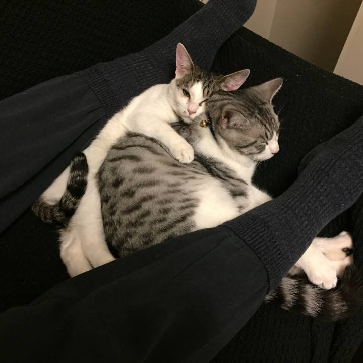 6c1e20a4 3854 415a 9f93 36540d951179