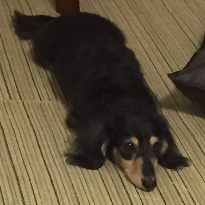 6c1e7411 f62e 41a0 82f2 49d93ee0ef5e