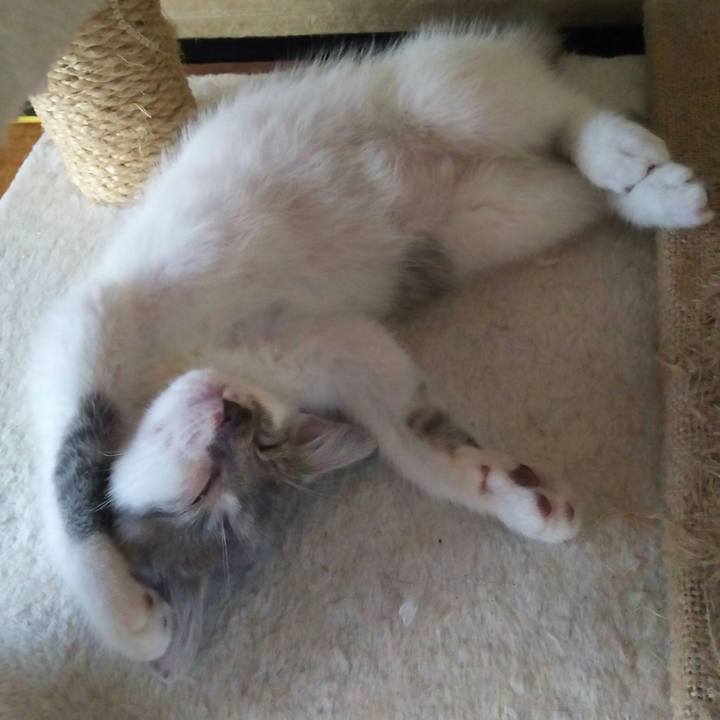 6c1e8070 1442 4fc0 8e4b d785f7b76c2e