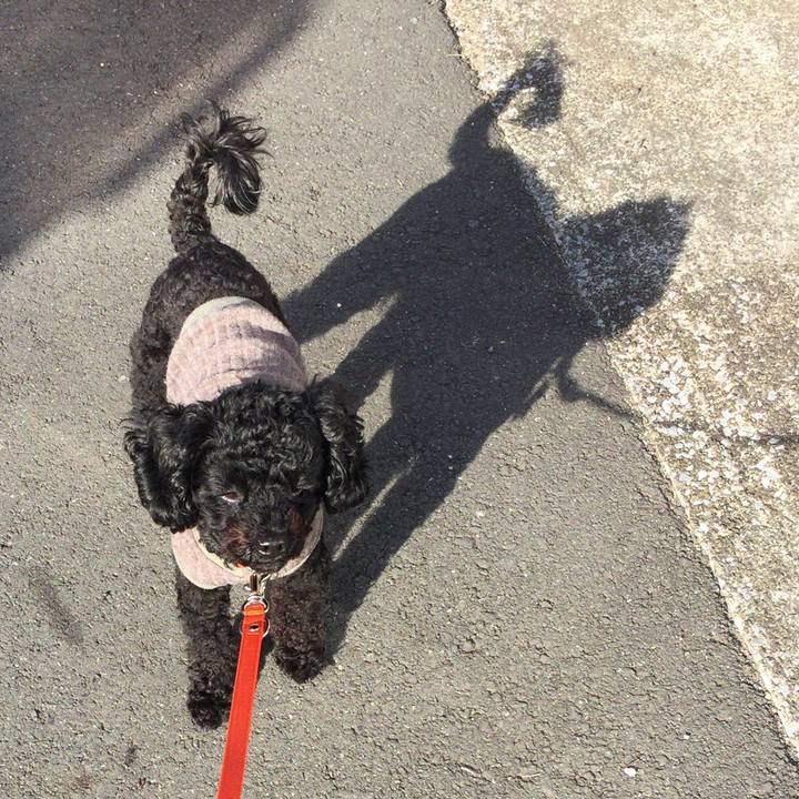 6c1edb67 3b22 46c6 996d ea544f85f3ad