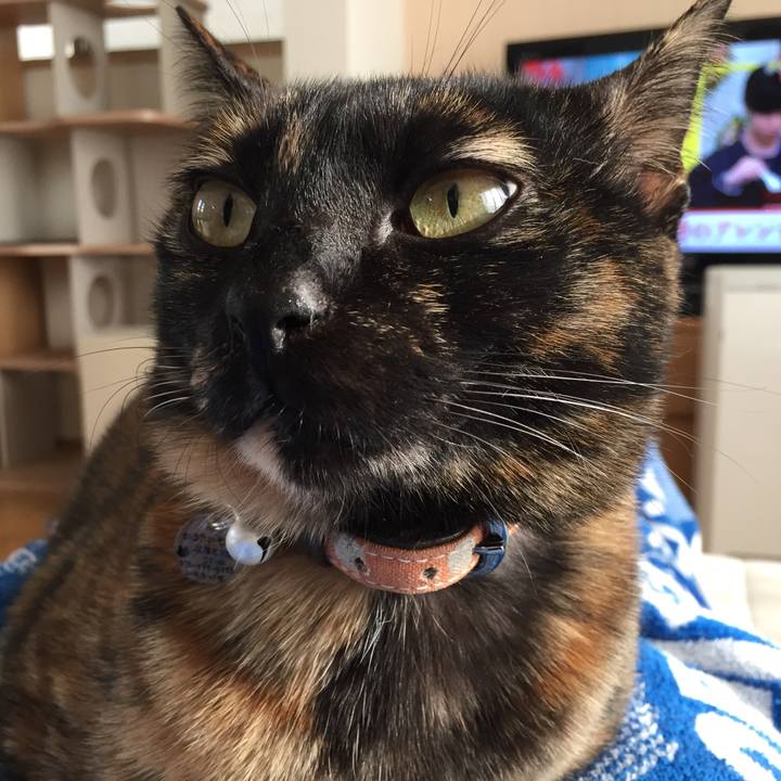 6c1f23a4 9d29 4544 b02e 3be9bcae054d