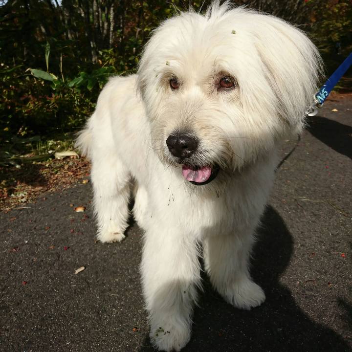 6c1f6f2f 0a57 4a03 aebe fa2091d29658