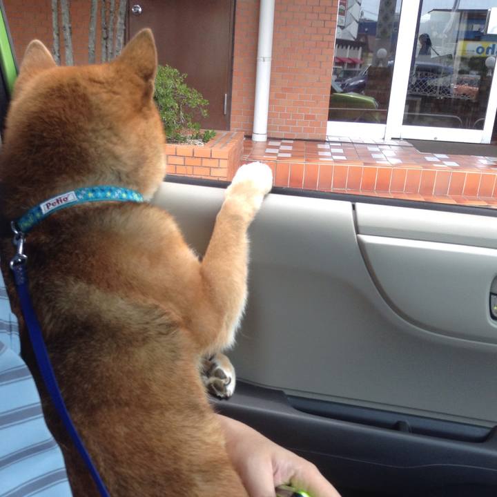 6c1f734e 045d 43b6 ae2a 4dfd4726874a