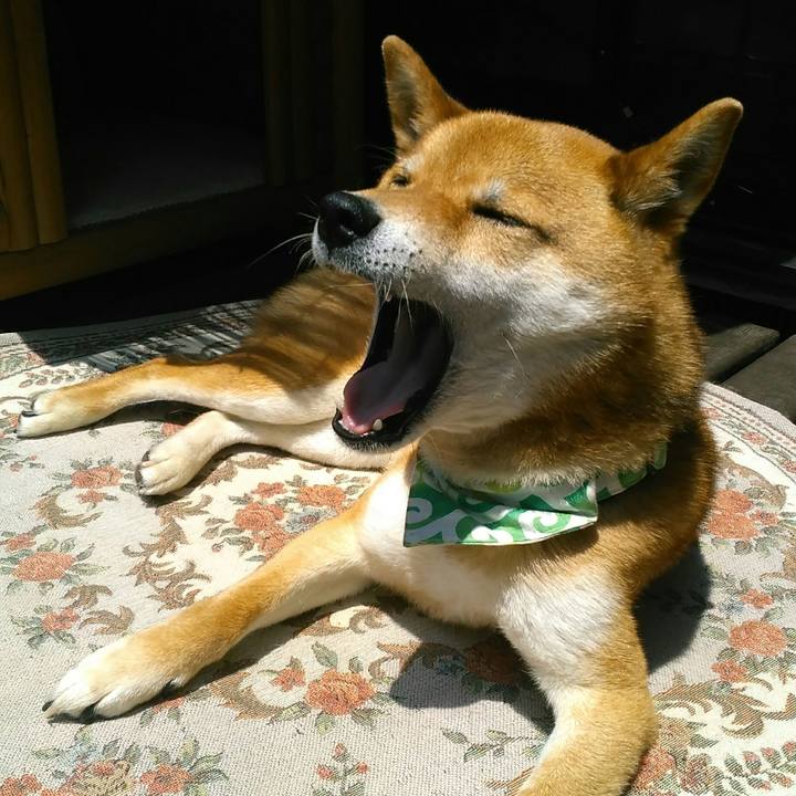 6c1f9342 8675 4971 a806 1aa6ff7321e8