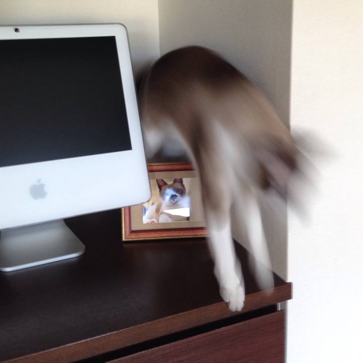 6c209c43 804d 4be5 bba8 6fdaeb0c720d