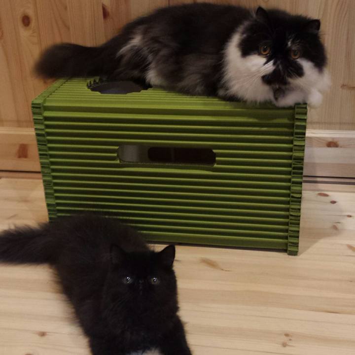 6c20db44 15f4 40dc 82ed e2fb120e11c6