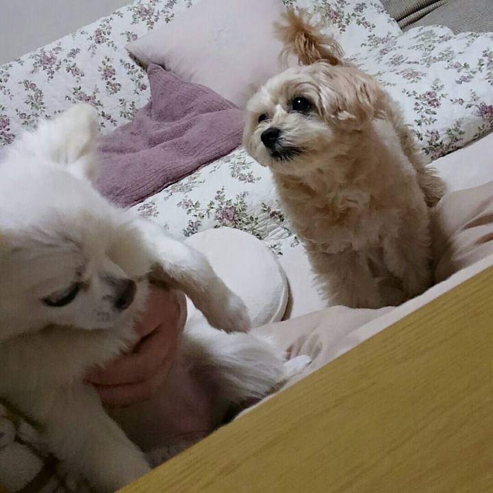 6c20e0d2 fa56 4f0a 8c06 3363665e5959