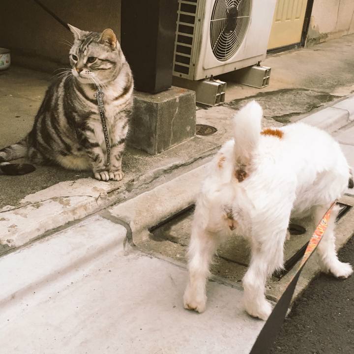 6c210365 65e4 45ac 9388 a1c4ac014df8