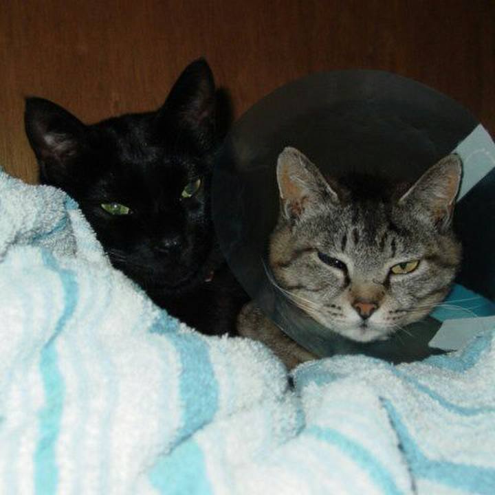 6c210ec4 91b9 44c8 800f 9ba502a32bb7