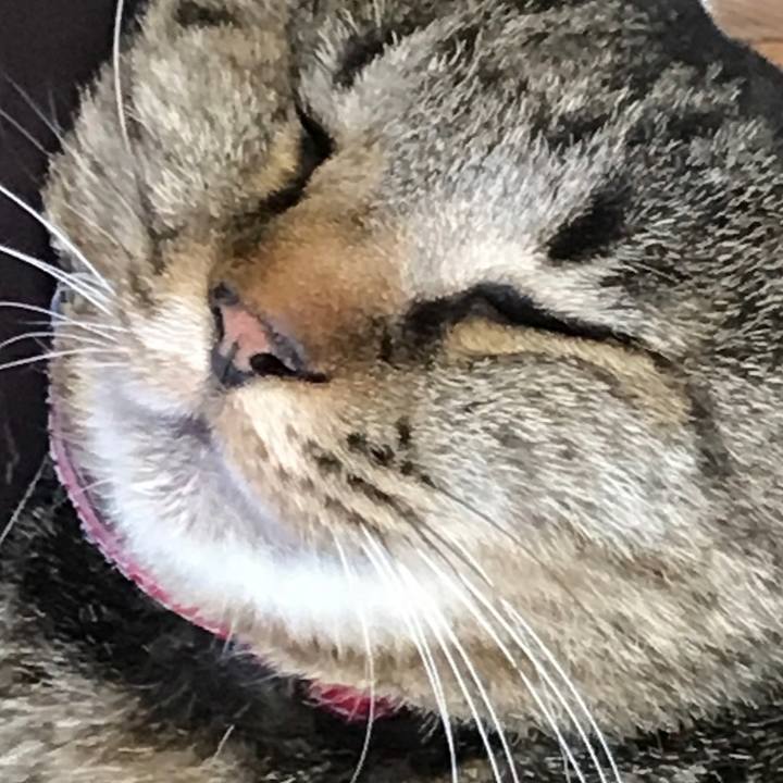 6c21414d 2870 4be7 93dd eaa4a4d168de