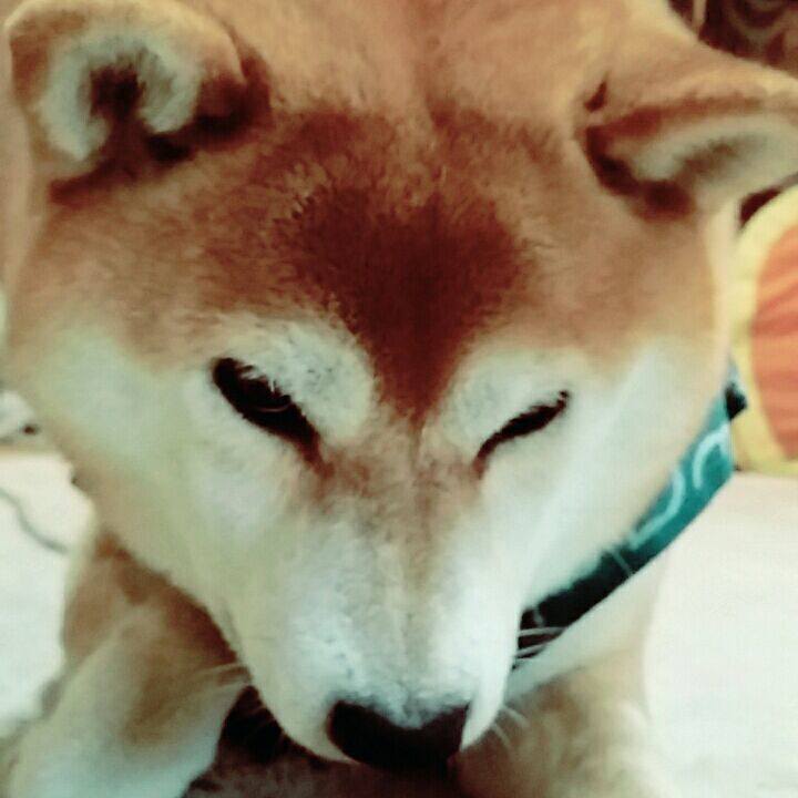 6c2158e7 1075 4a8e aab0 96f4daf3d1e6