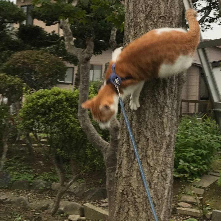 6c21c905 dbc0 4b88 9c1f 95ec3cabaafd