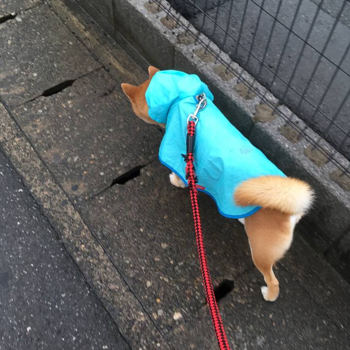 6c228d63 9948 4c1d 8169 39fe9f04fce6