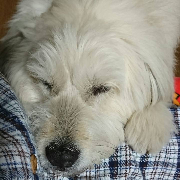 6c228dec a779 4c6c 9ef4 fbbaadeff3bd