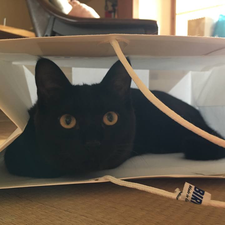 6c22eee0 f42f 4c52 9f9b 32731807b63e