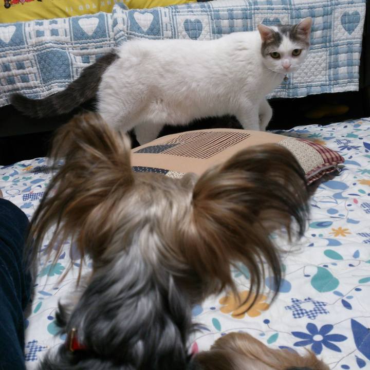 6c23546e 6ad9 4a58 b2f5 31e4da63595d