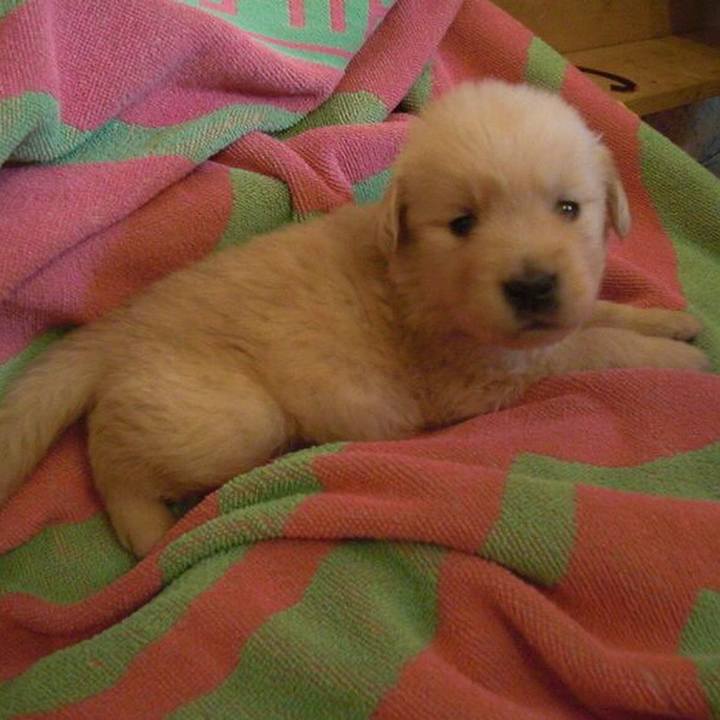 6c235989 c4c8 4638 a9d8 3ebab98474fd